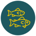 Low water consumption in closed-loop RAS