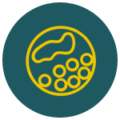 UV and ozone disinfection for aquaculture water