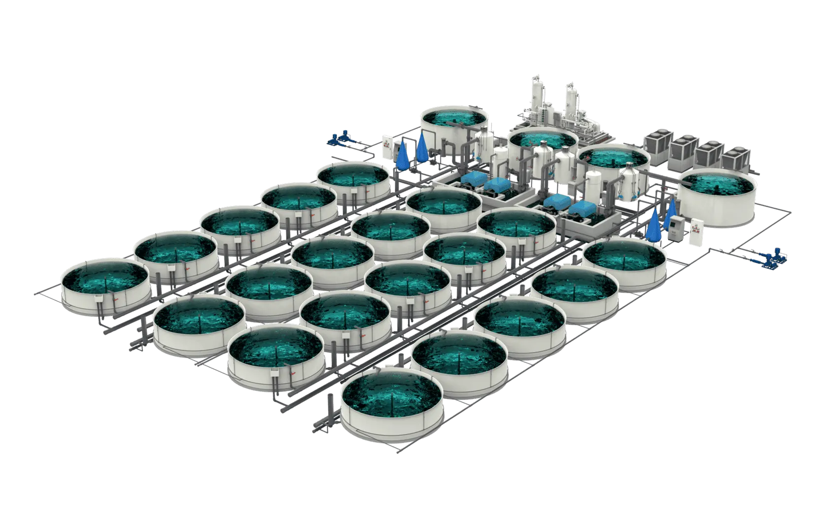 ras recirculating aquaculture system
